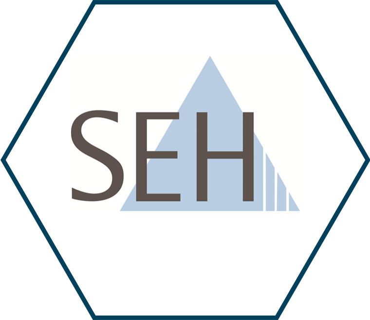 SEH Technology